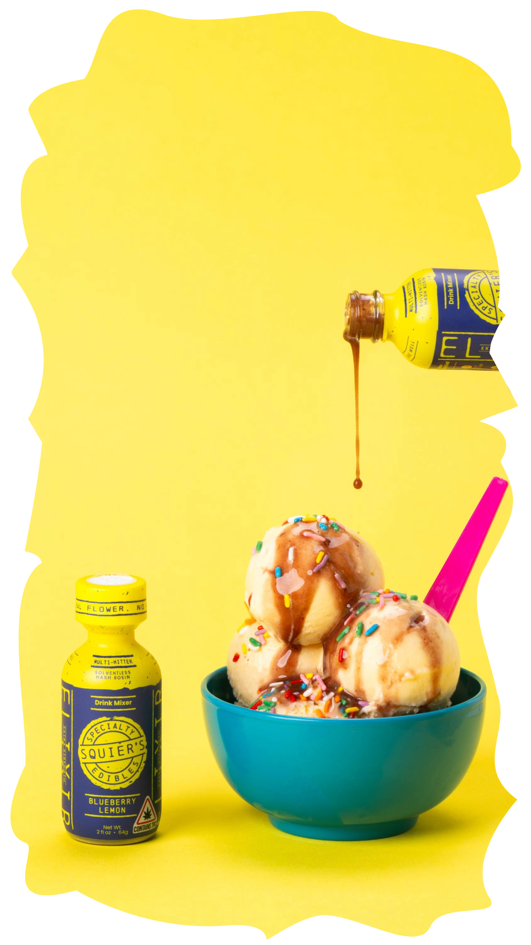 Elevated Ice Cream