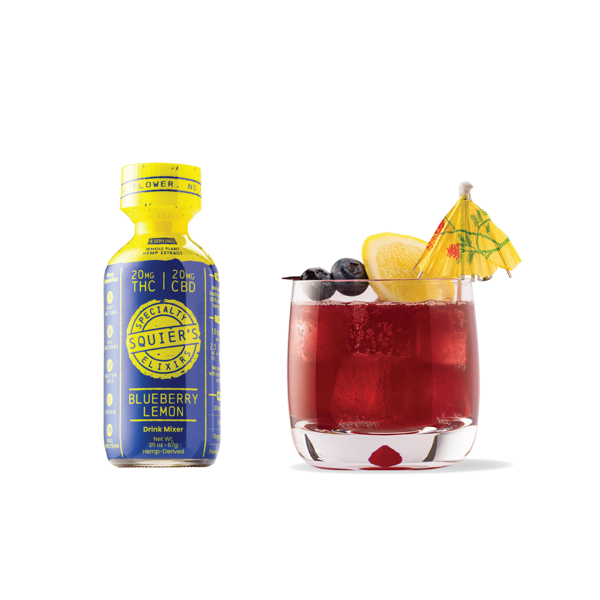 Blueberry Lemon Elixir
